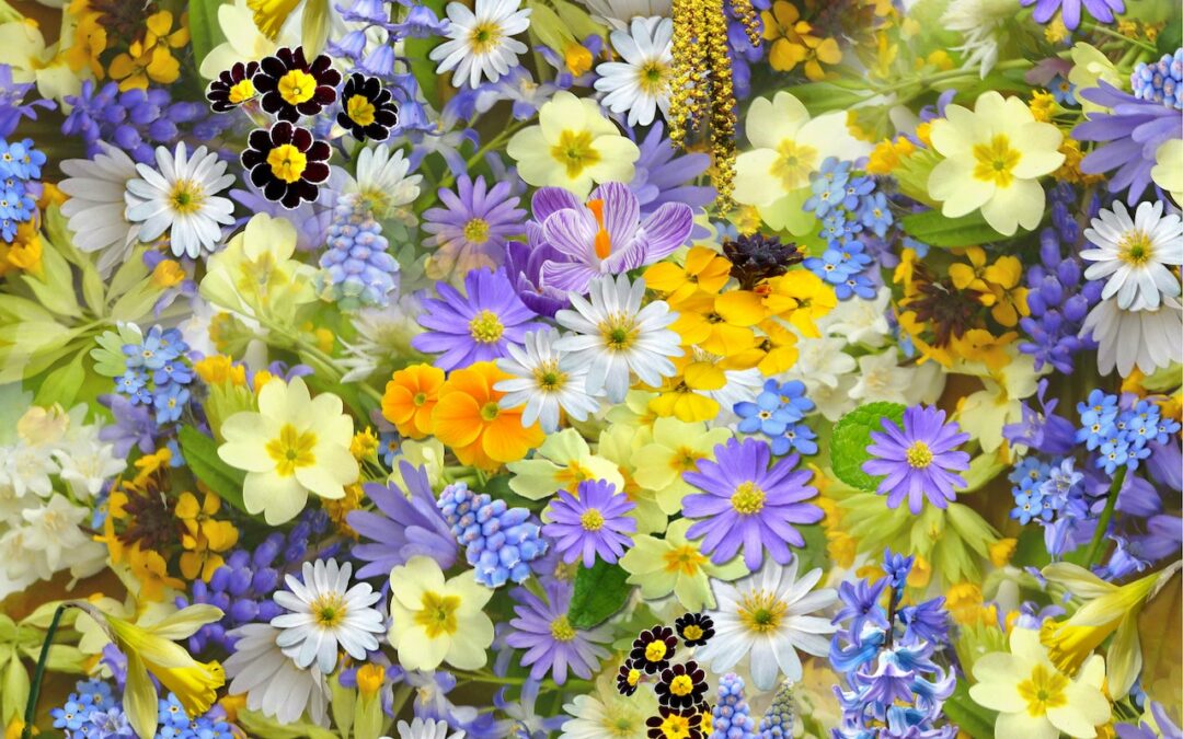 Top Picks for April: Embrace Spring with These Beautiful Blooms!